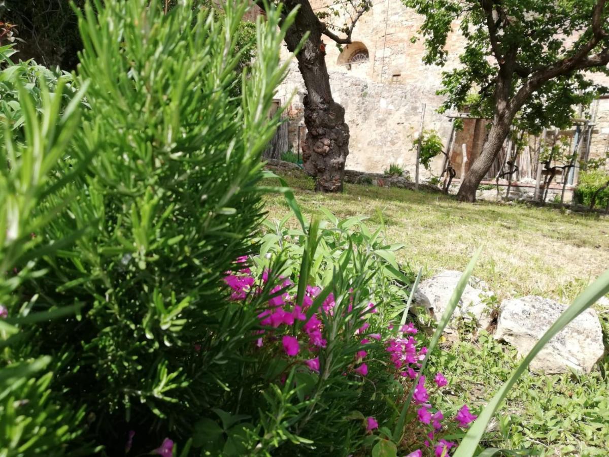 La Casa del Fotografo Colle Val D'Elsa Exterior foto