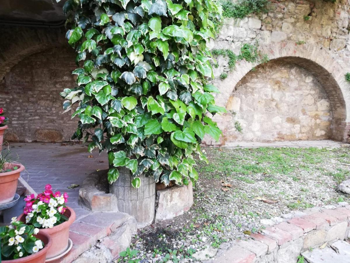 La Casa del Fotografo Colle Val D'Elsa Exterior foto
